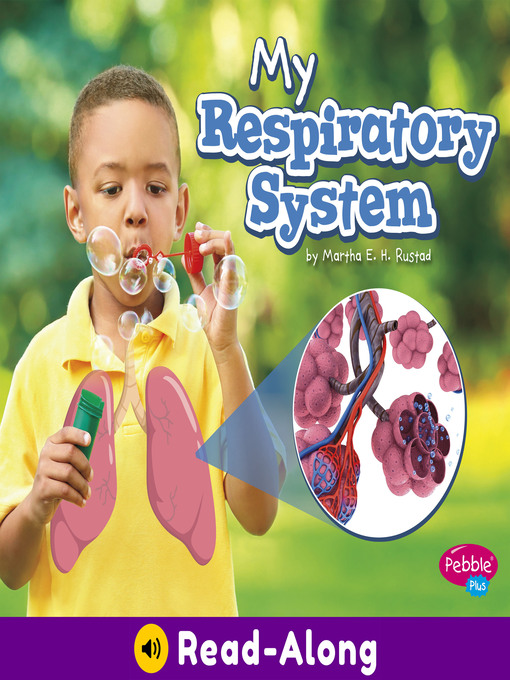 Cover image for My Respiratory System
